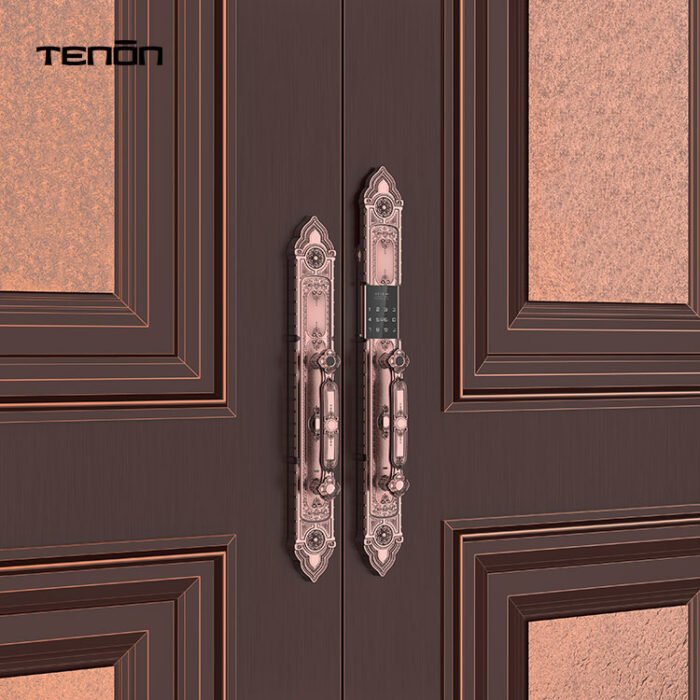 F8 Luxury Double Fingerprint Password Entry Door Handle